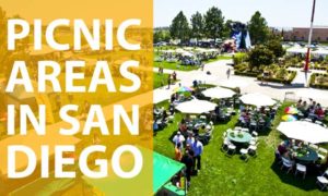 Best Picnic Spots in San Diego - Picnic People