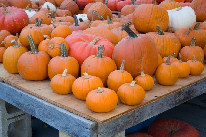 Pumpkins for pumpkin carving parties