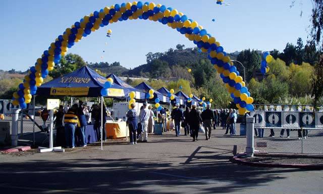 Custom balloon arch at picnic event