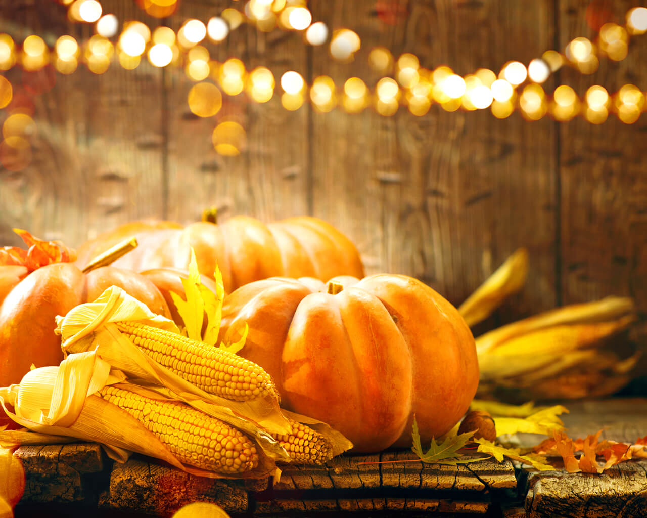 8 Tried and True Fall Festival Ideas