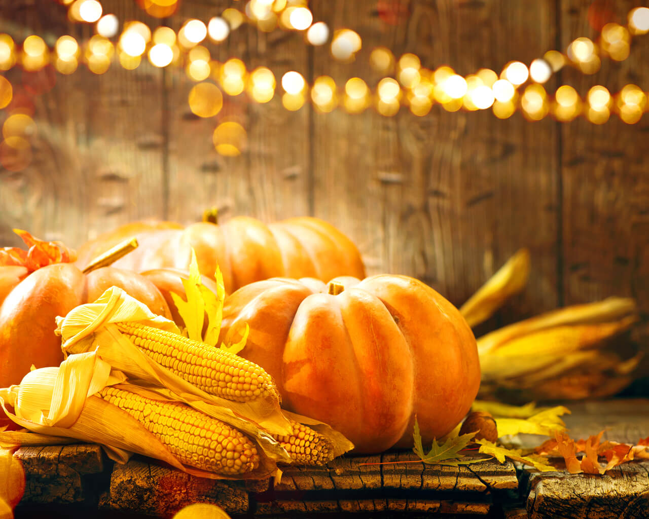8 Tried And True Fall Festival Ideas